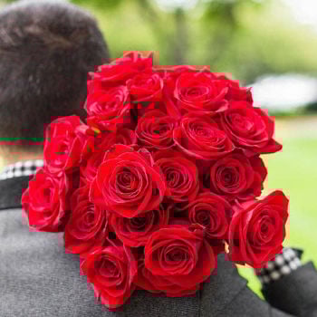 Two Dozen Red Roses