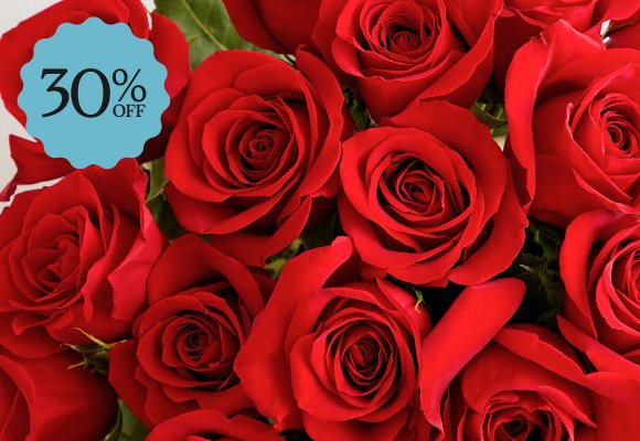 Deal of the Week >