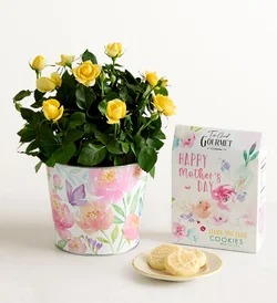 Shop All New Plant Arrivals