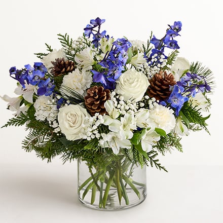 get-well-flowers-191180-silo-440x440.jpg