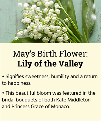 Birthday Flowers: Happy Birthday Flower Delivery | 1800Flowers