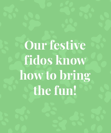 Our festive fidos know how to bring the fun!