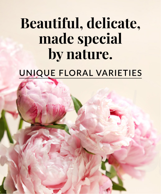 Beautiful Uncommon Flower Varieties