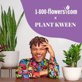 
The Kween is Here! >


