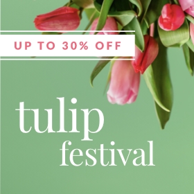 
Tulip Festival: Save Up to 30% >

