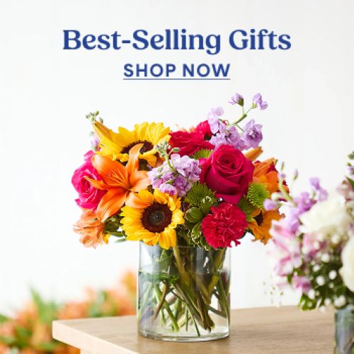 fy26 passport member offer 18f