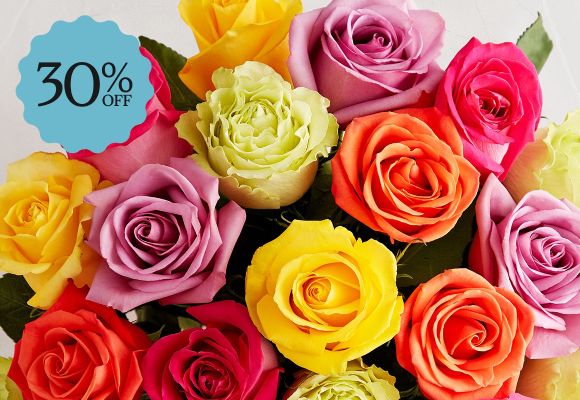 Deal of the Week >
