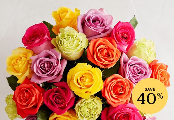 Deal of the Week >