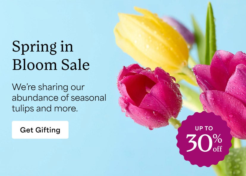 Save up to 30% at the Spring in Bloom Sale
