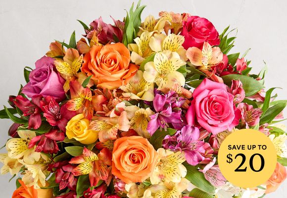 Deal of the Week >