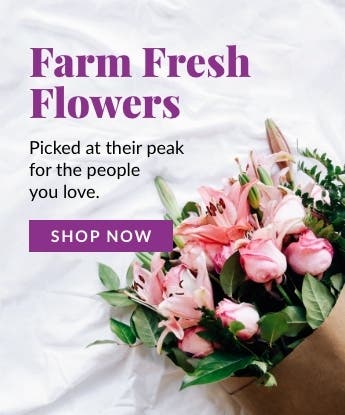 Flower Delivery: Same Day Flowers Delivered