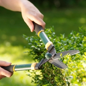 Yard Cleanup Coupon >