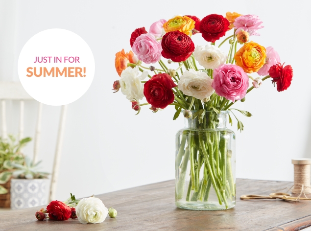 Radiant Ranunculus Bouquet