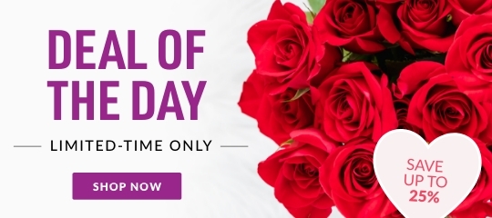 Valentine's Day Deal of the Day: Save Up to 25%