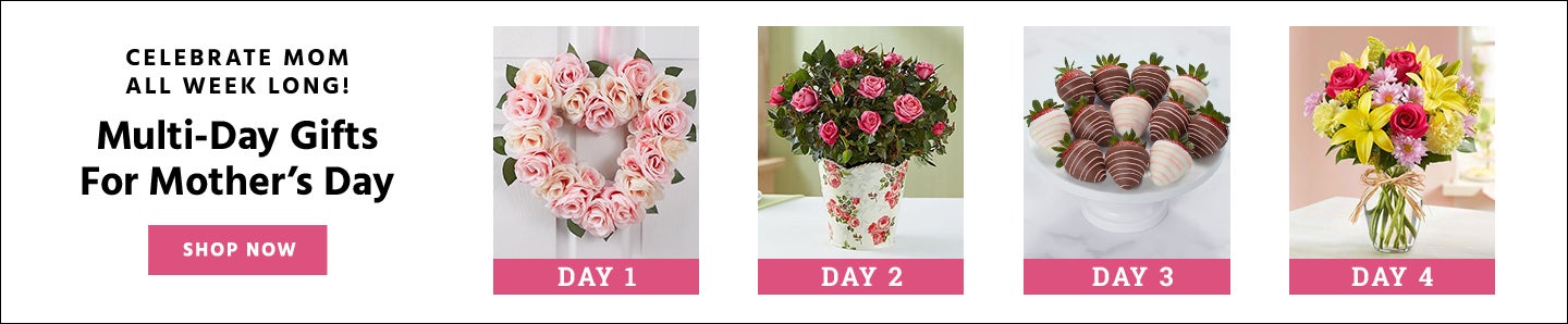 mother's day gifts overnight delivery