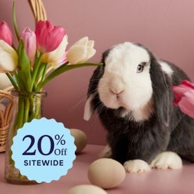 Easter Sale >