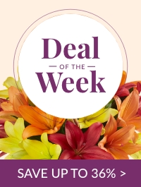 Deal of the Week
