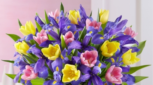 St Patricks Day Flash Deal Spring Tulip And Iris