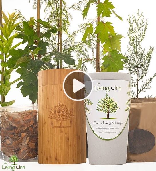 158249 The Living Urn Video  1