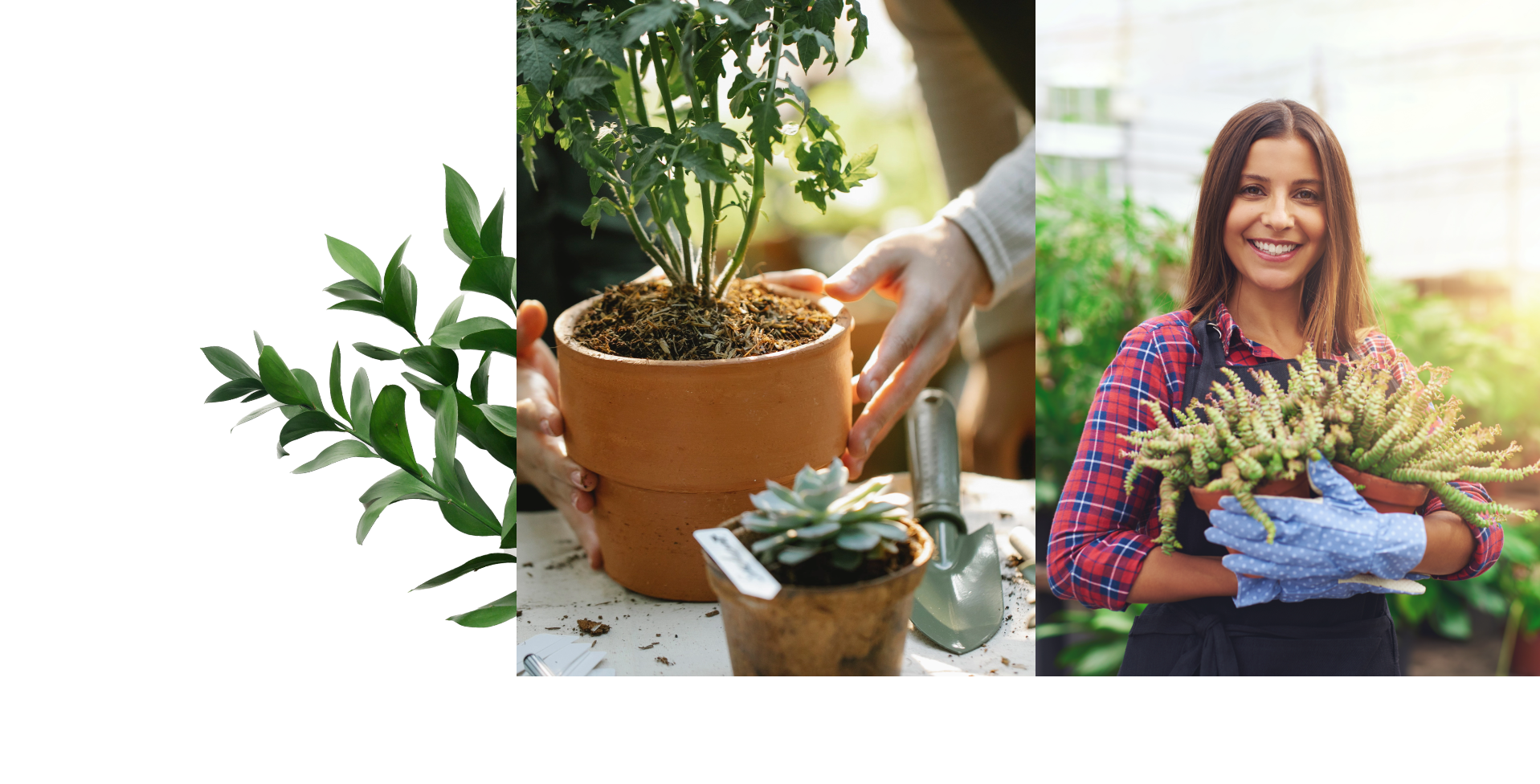 Farm Fresh Flower Delivery