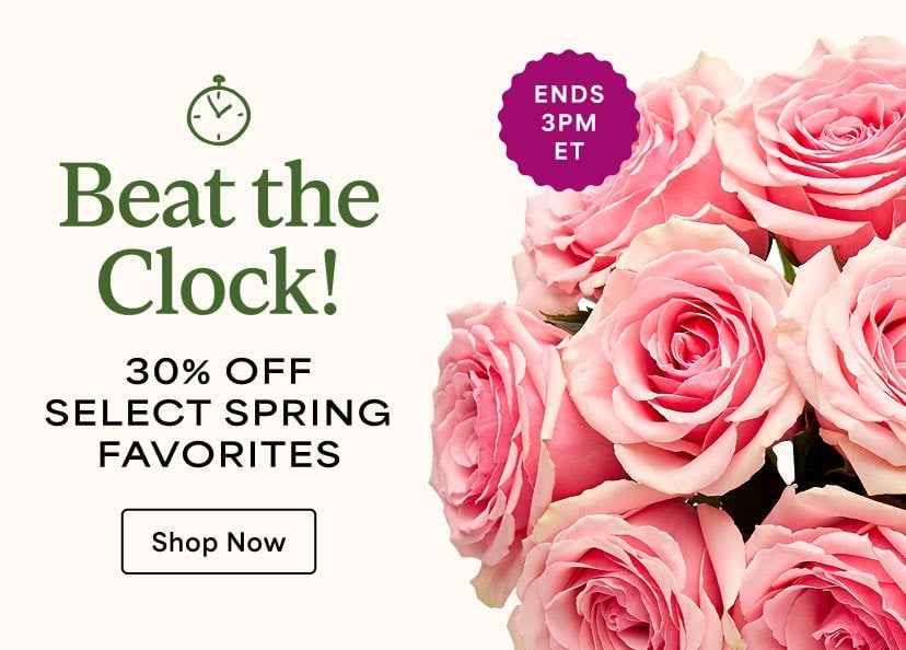 Beat the clock, click here for 30% off