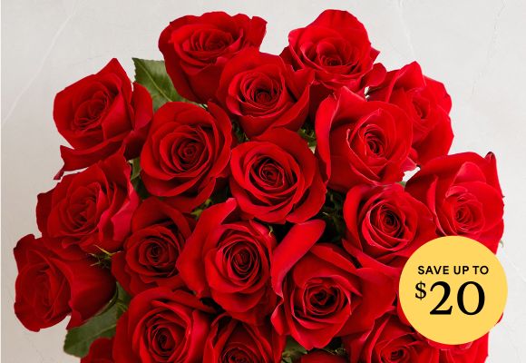 Deal of the Week >