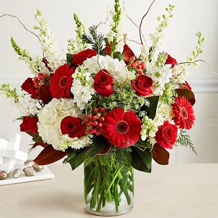 christmas flowers silo 191621 440x440