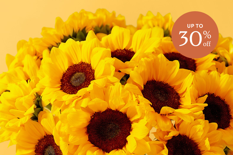 SAVE ON SUNFLOWERS