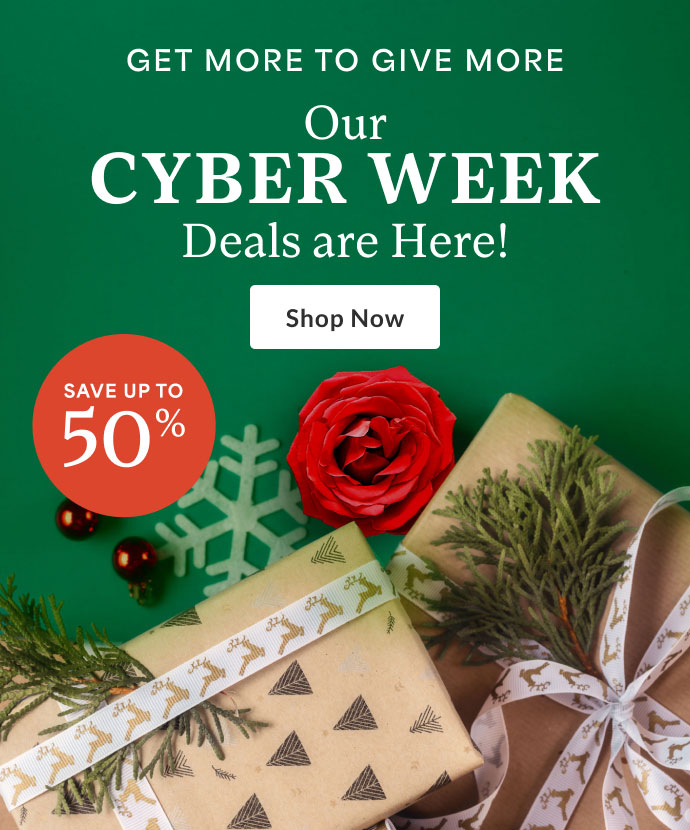 Cyber Deals