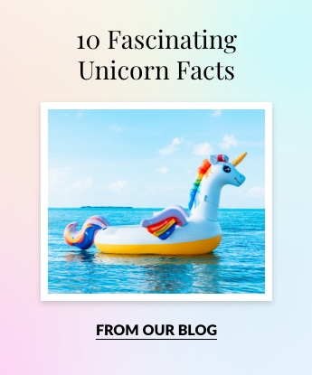 10 Fascinating Unicorn Facts