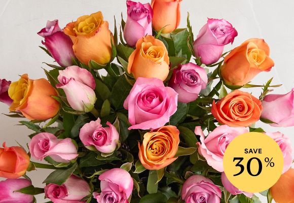 Deal of the Week >