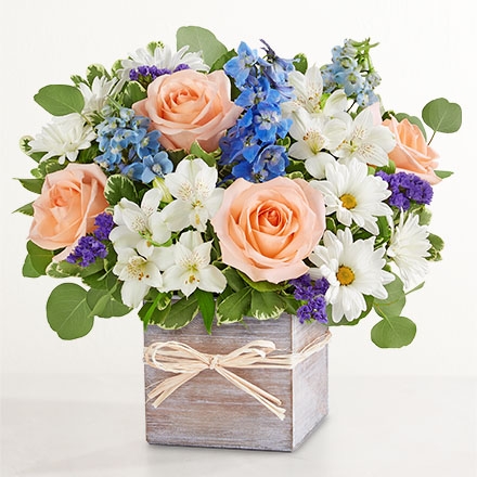 just-because-flowers-silo-191300-440x440-v2.jpg