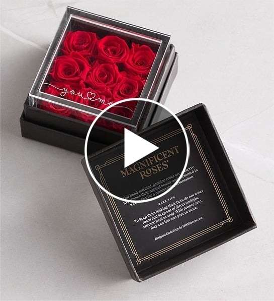 magnificent roses you and me rose box 196271