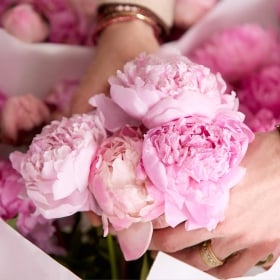 Peonies >