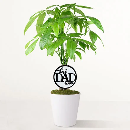 Shop Father's Day