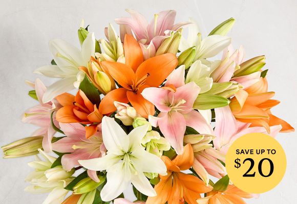 Deal of the Week >