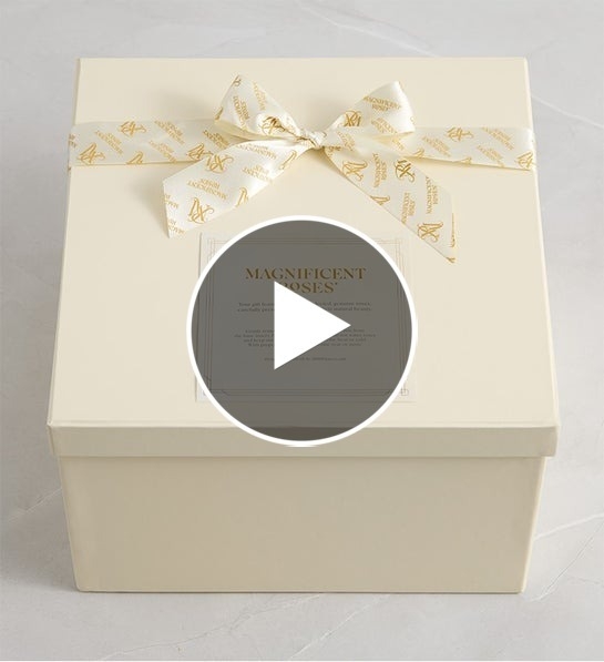 magnificent-roses-preserved-citrus-roses-177703.mp4