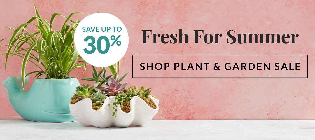 Plant Sale: Save Up to 30%