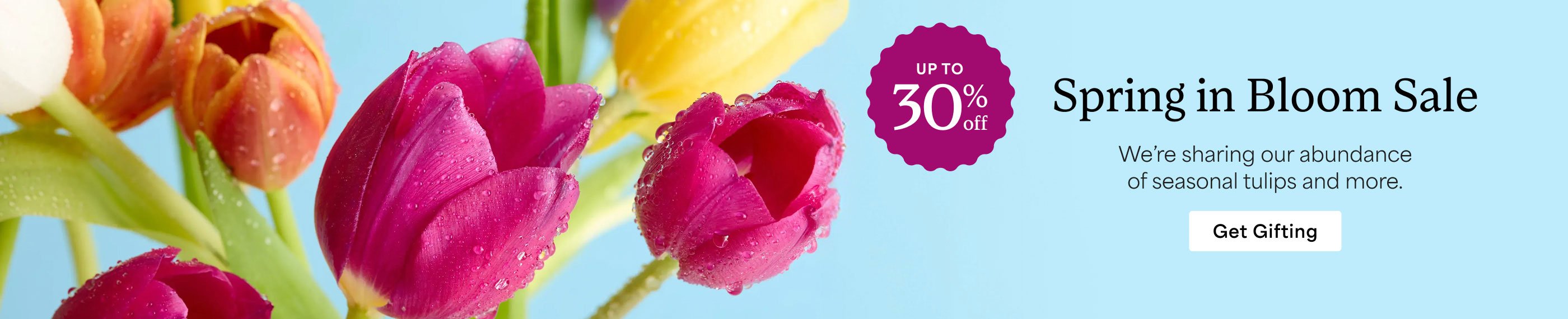 Save up to 30% at the Spring in Bloom Sale
