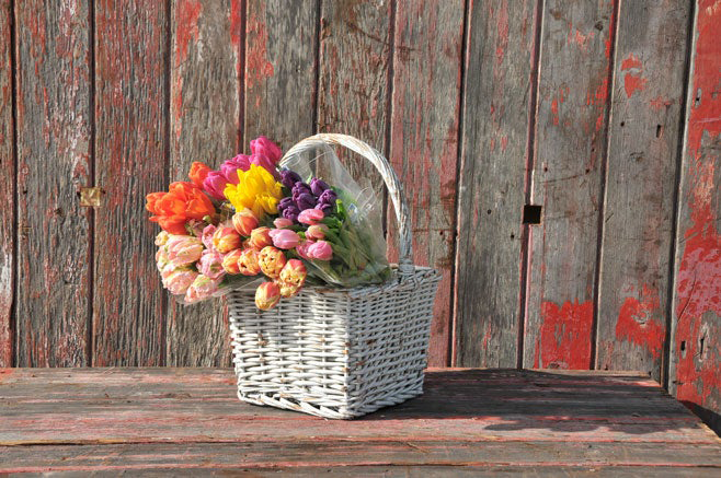 Tulips in Basket
