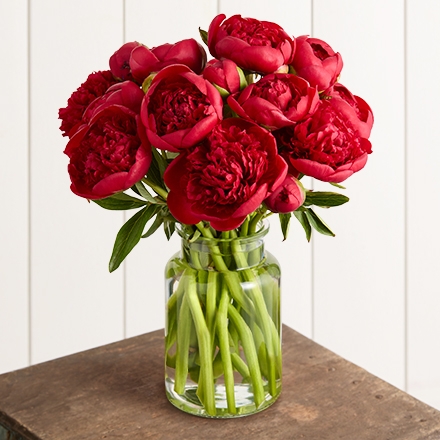 peonies silo 191569 440x440