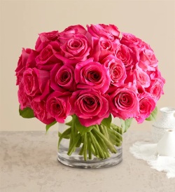 Green Flowers & Green Plants | Green Gifts | 1-800-FLOWERS.COM-1021
