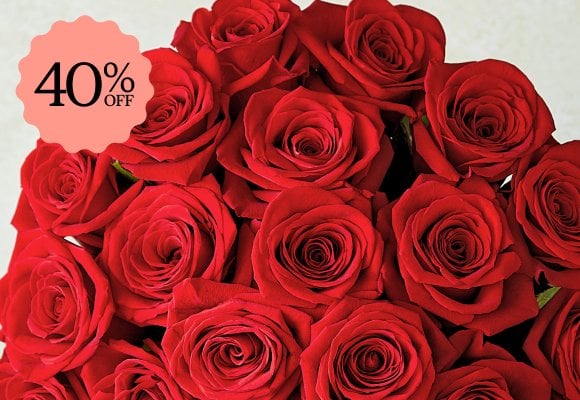 Deal of the Week >