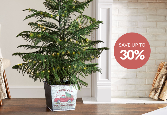 
Plant & Garden Sale >
