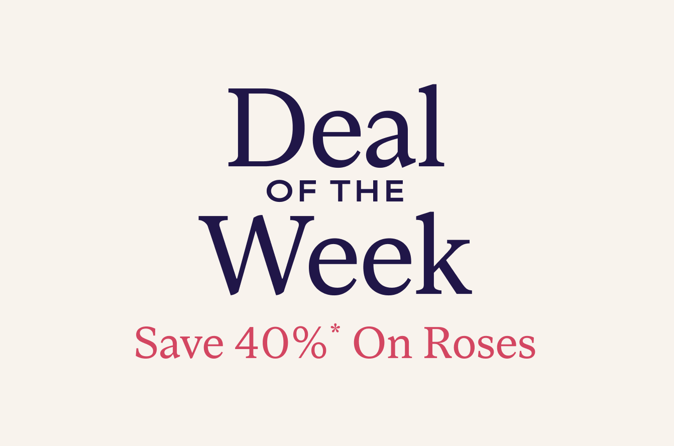 Deal Of The Week Flowers Image