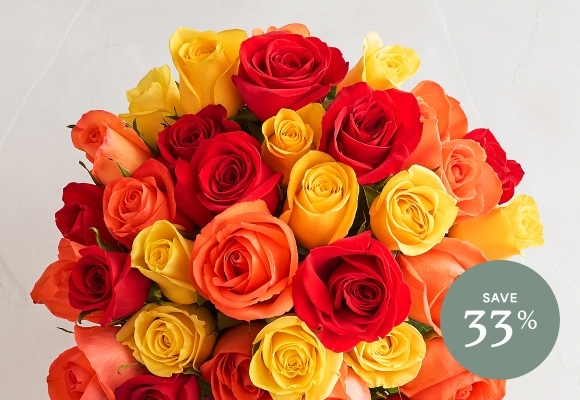 Deal of the Week >