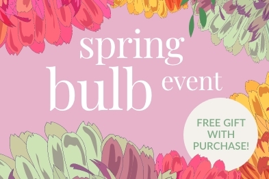 SHOP FLOWER BULBS