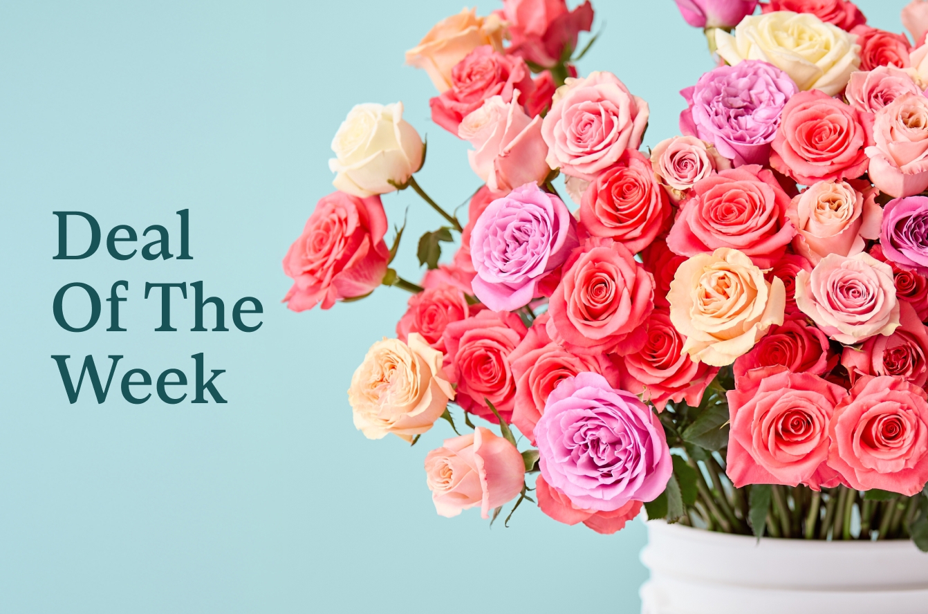Deal Of The Week Flowers Image