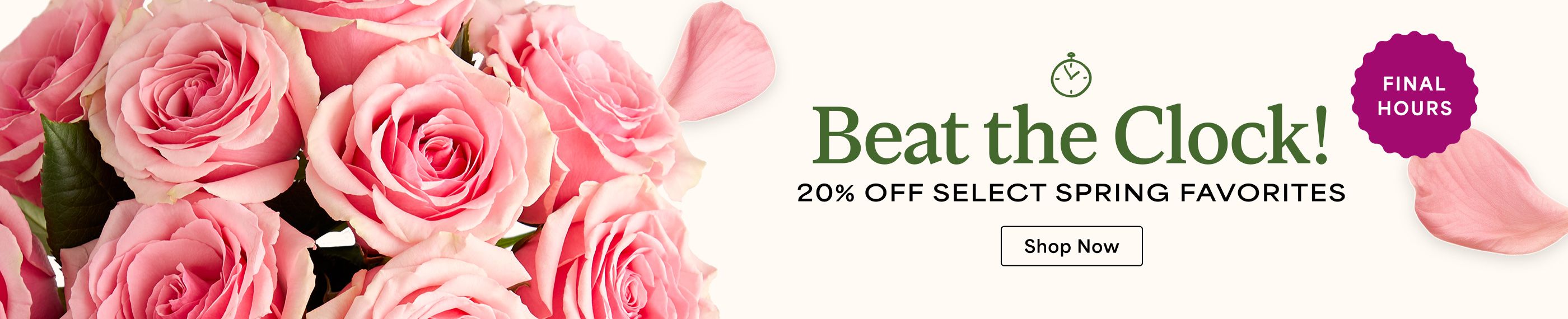 Beat the clock, click here for 20% off