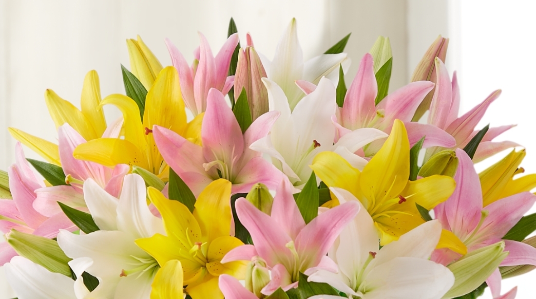 Sweet Spring Lily Bouquet Free Vase